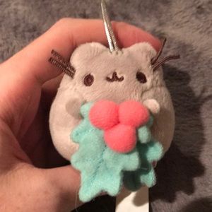 Pusheen with mistletoe ornament